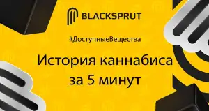 Блэкспрут зеркало blacksprut click