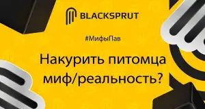 Как выводить деньги с BlackSprut