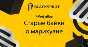 Как зайти на BlackSprut сегодня