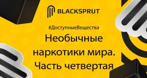 Восстановить код безопасности аккаунт на сайте blacksprut